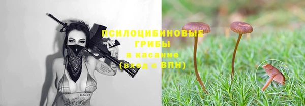 ПСИЛОЦИБИНОВЫЕ ГРИБЫ Волосово