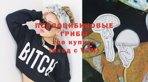 ПСИЛОЦИБИНОВЫЕ ГРИБЫ Волосово