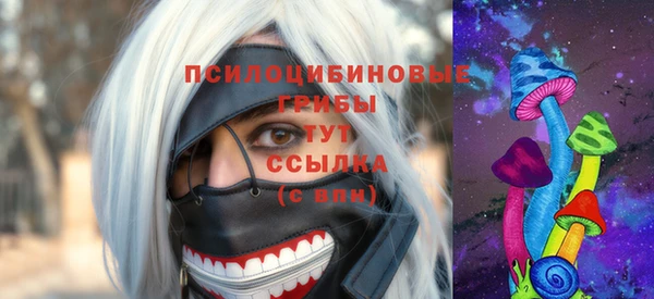 бутират Краснослободск