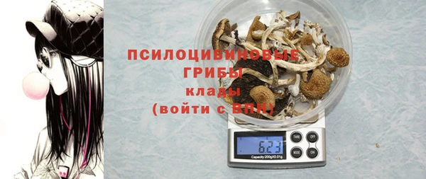 ПСИЛОЦИБИНОВЫЕ ГРИБЫ Волосово